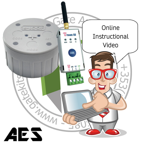 AES e-LOOP Commercial Inground EL00IG-RAD-K