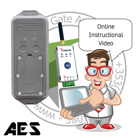 AES e-LOOP Post Mount EL00PM-RAD-K