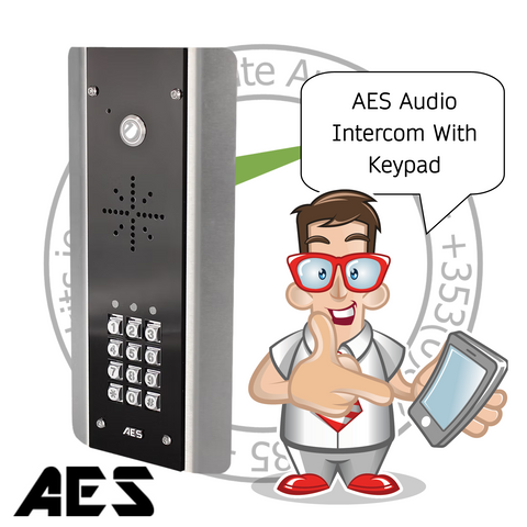 DECT 603 wireless intercom system