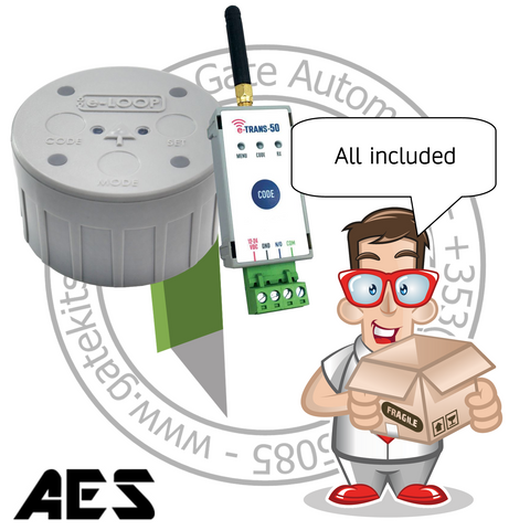 AES e-LOOP Commercial Inground EL00IG-RAD-K