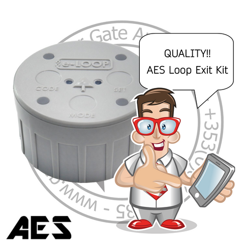 AES e-LOOP Commercial Inground EL00IG-RAD-K
