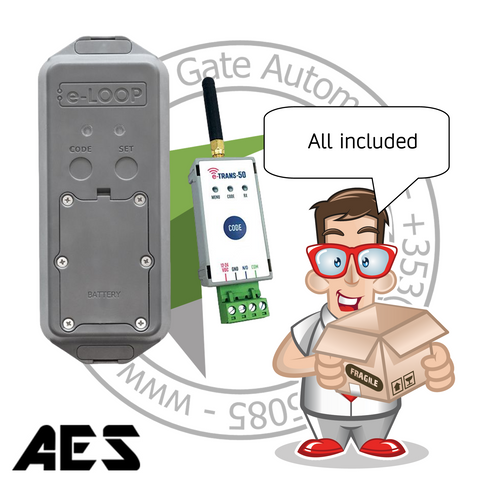 AES e-LOOP Post Mount EL00PM-RAD-K